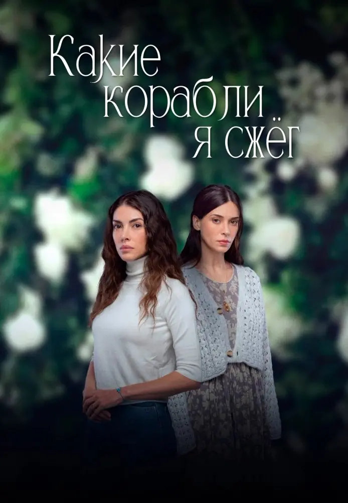 Какие корабли я сжёг постер
