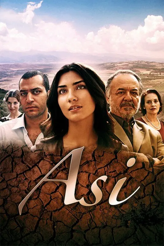 Аси (сериал 2007 – 2009) постер