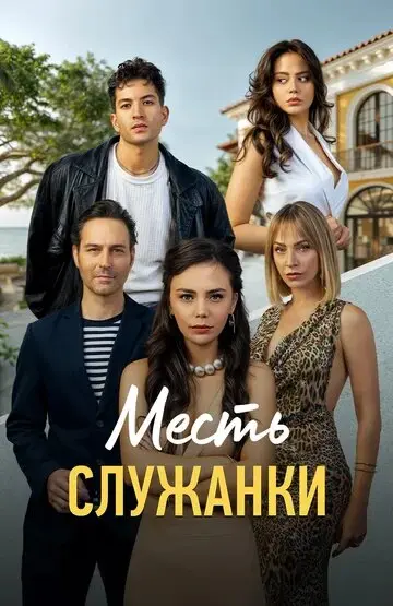 Месть служанки постер